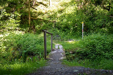 Gsundheitsbründlweg in Hopfgarten