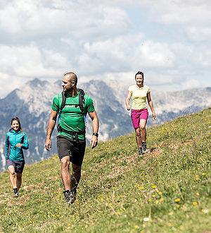 Sommerliche Wandertour von drei Wanderern