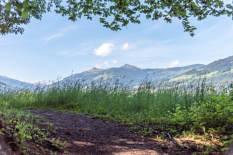 Gsundheitsbründlweg in Hopfgarten