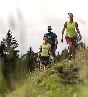 Wandern in den Kitzbüheler Alpen