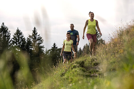 Wandern in den Kitzbüheler Alpen