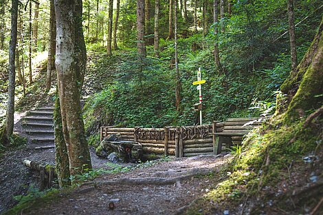 Gsundheitsbründlweg in Hopfgarten